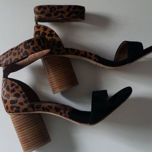 jeffrey campbell cheetah purdy heels